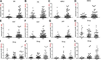 Identification of miRNA Signature in Breast Cancer to Predict Neoadjuvant Chemotherapy Response